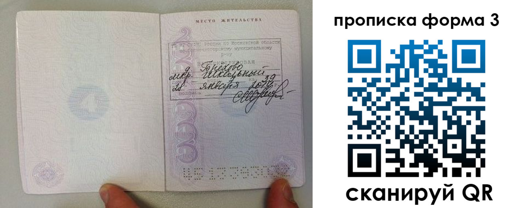 прописка гарантия в Приморском крае